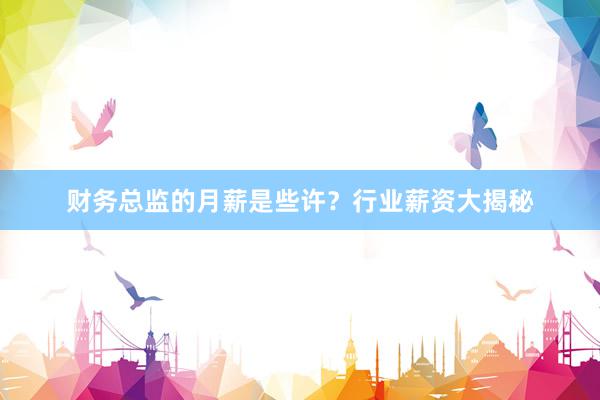 财务总监的月薪是些许？行业薪资大揭秘