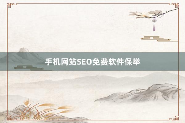 手机网站SEO免费软件保举