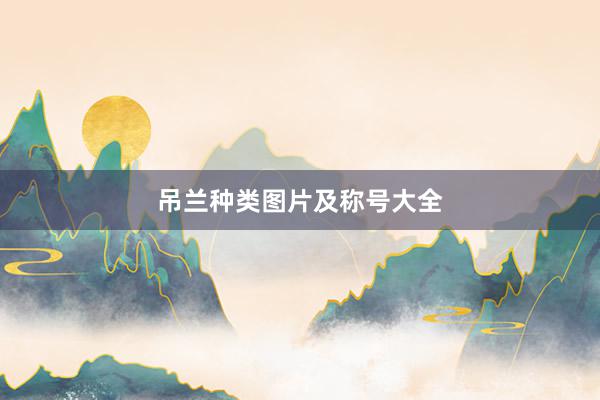 吊兰种类图片及称号大全